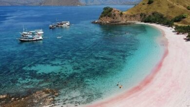 Photo of Popular in The World: Pink Beaches in Labuan Bajo